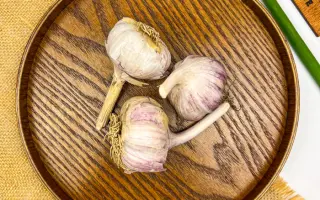 КРАСНОДАРСКИЙ 225