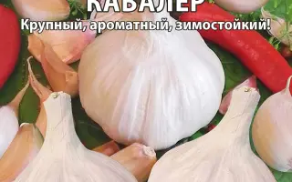 КАВАЛЕР
