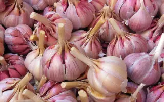 КАЗАКОВСКИЙ