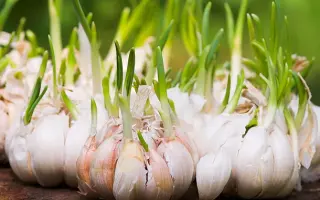 БЕЛОЗЕРОВСКИЙ