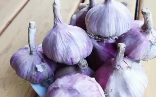 ЮБИЛЕЙНЫЙ 07