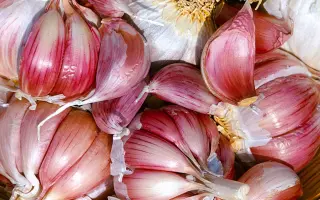 ПЕТРОВСКИЙ