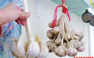 СИРИУС СЕДЕК