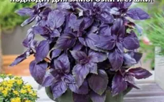 ГРАНАТОВЫЙ ШАР