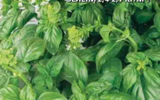 ВЕСЕННЕЕ ЧУДО