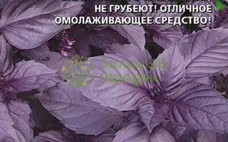 ГРАНАТОВЫЙ БРАСЛЕТ