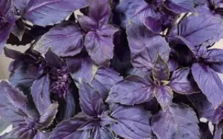 АРОМАТНЫЙ ГУЛЯШ