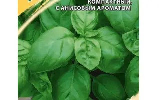 ЕРЕВАНСКИЙ ИЗУМРУД