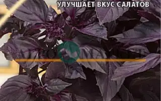 РОБИН БОБИН