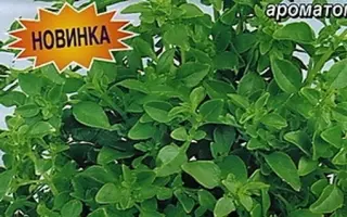 ГРЁЗЫ СУЛТАНА