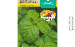 ЗЕЛЕНЫЙ ПРИНЦ