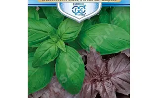 РУССКИЙ БОГАТЫРЬ