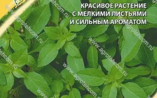 АНИСОВЫЙ ВОСТОРГ