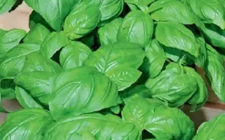 КАРАМЕЛЬНЫЙ