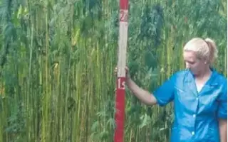 ЕКАТЕРИНОДАРСКАЯ