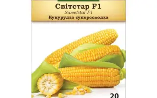 МУЛЬТИСВИТ СТАРТ