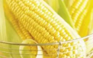 ВОНДЕРЛЭНД