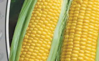 ЗОЛОТОЙ БАТАМ