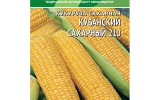 БАКСАНСКАЯ САХАРНАЯ