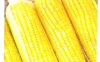 КРАСНОДАРСКАЯ САХАРНАЯ 4