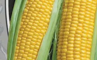 ПОРУМБЕНЬ 340 МВ