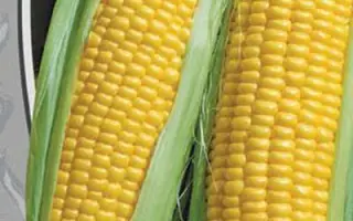 ПОРУМБЕНЬ 200 MB