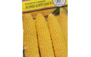 ХОНИ БЭНТАМ 78 ДНЕЙ