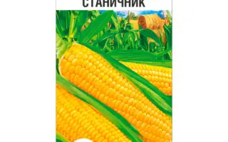 СТАНИЧНИК