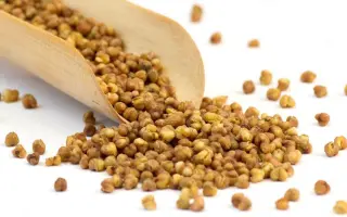 БУРЯТСКАЯ МЕСТНАЯ