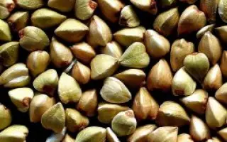 ЧИШМИНСКАЯ