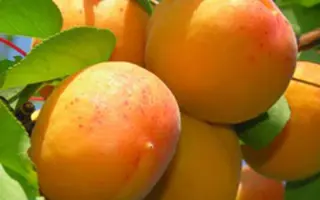 НАСЛАЖДЕНИЕ