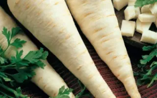 УРАЛЬСКАЯ УСАДЬБА