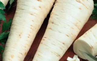 ГЕНЕРАЛЬСКАЯ