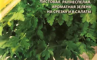 КУХОННАЯ ЗЕЛЕНЬ