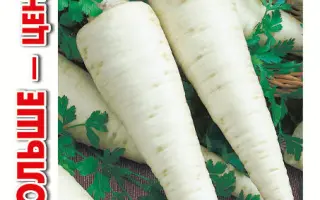 САХАРНЫЙ КОРЕШОК