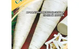 САХАРНЫЙ РОЖОК