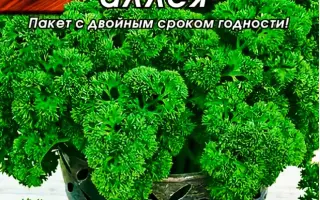 АРОМАТНАЯ АЛЛЕЯ