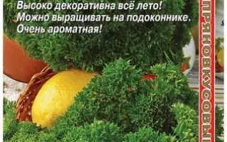 ИЗУМРУДНЫЕ КРУЖЕВА