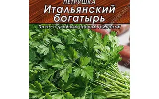ИТАЛЬЯНСКИЙ БОГАТЫРЬ