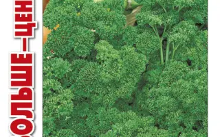 СЛАВЯНСКАЯ