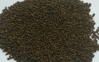 БРОДСКАЯ МЕСТНАЯ