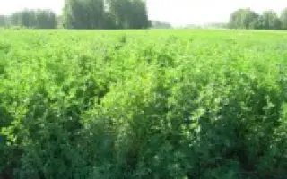 БЕЛГОРОДСКАЯ 86