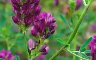 КРАСНОЯРУЖСКАЯ 2