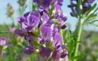 РОСТОВСКАЯ 60