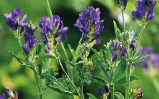 БЕЛГОРОДСКАЯ 7