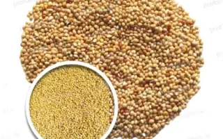 САРАТОВСКОЕ 15