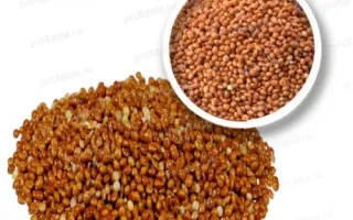 БАРНАУЛЬСКОЕ 18