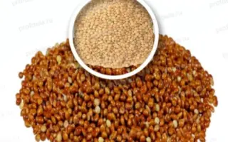 ПРИВОЛЬНОЕ