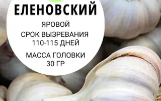 ДЕМИДОВСКИЙ