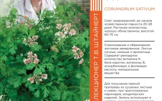 ПЫШНАЯ ОСОБА